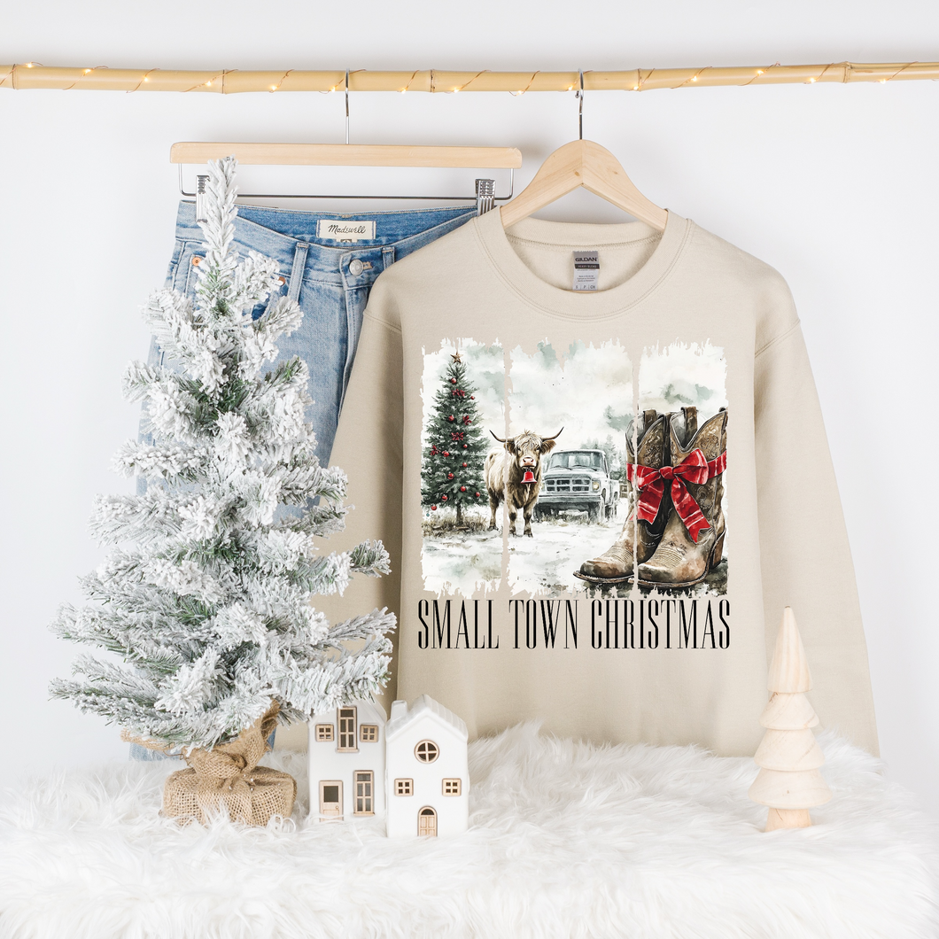 Adult Small Town Christmas Crewneck