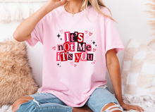 Load image into Gallery viewer, Adult It’s Not Me, It’s You Tshirt